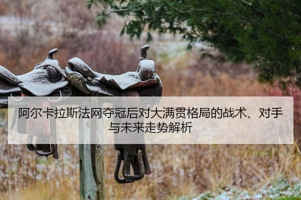a-er-ka-la-si-fa-wang-duo-guan-hou-dui-da-man-guan-ge-ju-de-zhan-shu-dui-shou-yu-wei-lai-zou-shi-jie-xi-2-487.jpg