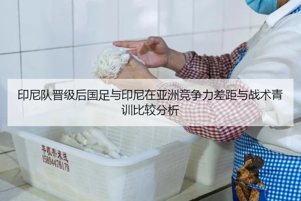 印尼队晋级后国足与印尼在亚洲竞争力差距与战术青训比较分析