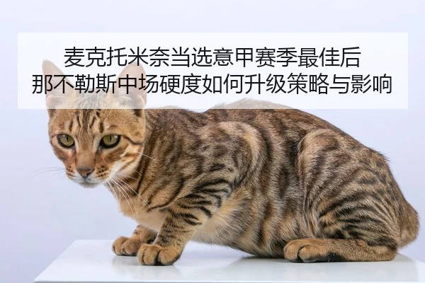 麦克托米奈当选意甲赛季最佳后 那不勒斯中场硬度如何升级策略与影响